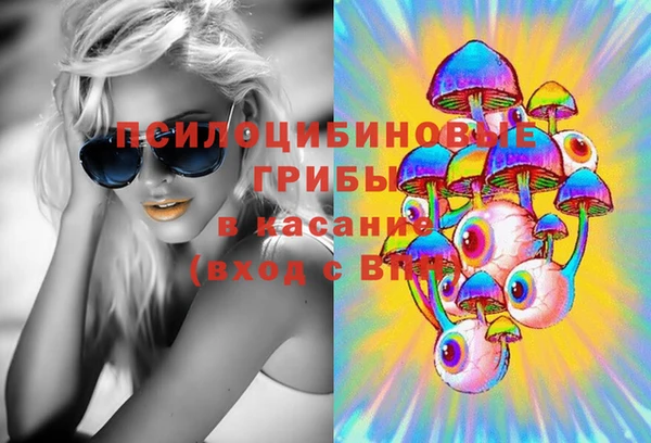 ПСИЛОЦИБИНОВЫЕ ГРИБЫ Белокуриха