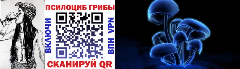 Псилоцибиновые грибы мухоморы  shop какой сайт  Красноярск 