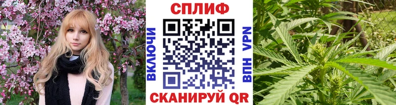 Шишки марихуана семена  Красноярск 